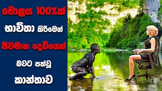 "Lucy" සිංහල Movie Review | Ending Explained Sinhala | Sinhala Movie Review