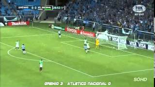 Todos Los Goles de la Copa Libertadores de America 2014 (Parte 1)