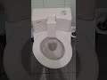 Self Cleaning Toilet in Germany!