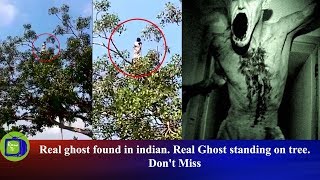 Real ghost found in indian. Real Ghost standing on tree. Don't Miss || Reena TV