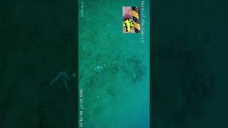 晩冬の海の探索2　【水中映像 】 #水中ドローン #釣り  #underwaterdrone #dronefishing ＃fishing #drone