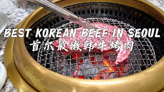 This Korean Beef is better than Peter Luger Steakhouse | 首尔的韩牛好吃过纽约最好的牛排馆 | Seoul Beef BBQ #food