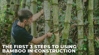 The First 3 Steps to Using Bamboo in Construction