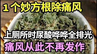 痛风、高尿酸的人，只需把它泡水喝，上厕所时尿酸哗哗全排光，痛风再没发作过【本草养生大智慧】