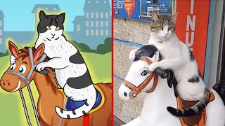 Funny CAT MEMES and their ART COMPILATION