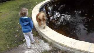 100404 118 Riley throwing sticks in the pond.MPG