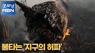 [굿모닝월드] 불타는 '지구의 허파' [굿모닝MBN]