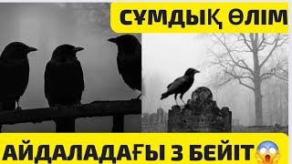 АЙДАЛАДАҒЫ 3 АДАМНЫҢ БЕЙТІНІН КӨРІП,ҚАЛАЙ БОЛҒАНЫН ЕСТІГЕН БІЗ ШОШЫП ОЛ МАҢНАН КЕТІП ҚАЛДЫҚ