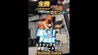 【17-0全勝12KO】身長190cm 体重90Kg ロビン🇸🇪 元UFC王者ストリックランド練習パートナー Robin Safar