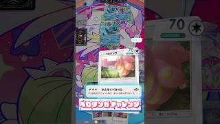 【ポケポケ】1ヶ月ベロリンガチャレンジ‼️13日目