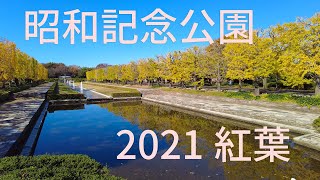 昭和記念公園2021紅葉