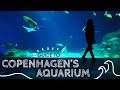 Copenhagen Aquarium - Blue Planet / Den Blå Planet, Copenhagen Museum Tour