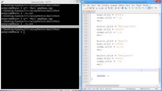 Programming example: Multiple vectors