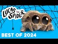 Lucas the Spider BEST of 2024 Compilation!