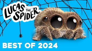 Lucas the Spider BEST of 2024 Compilation!