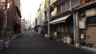 2011 大阪市淀川区木川西2丁目から