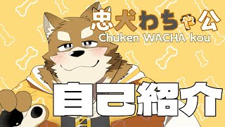 【自己紹介】こんわちゃ！忠犬わちゃ公です！【ケモノVtuber】