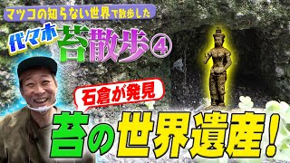 #132【苔散歩 代々木編④】マツコの知らない世界で散歩した代々木で苔の世界遺産を発見！