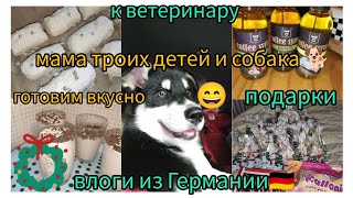 Mama VLOG🇩🇪  🤎 десерт где только ДВА ингредиента 🤫 ведём ПУШИСТИКА к ветеринару 🐶