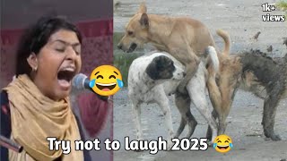 😂 try not to laugh 😂😂 || nooran sister funny song | dj Pukuriya