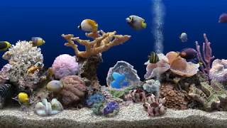 Aquarium Jazz - Great jazz with swimming fish