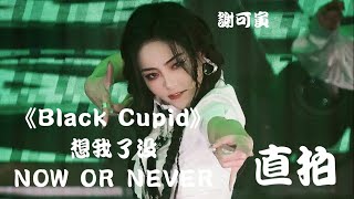 【谢可寅 Shaking Chloe】《Black Cupid》\