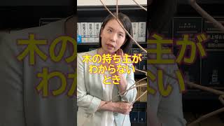 大迷惑！伸びてきた隣家の枝、勝手に切ってもいい？【元刑事の弁護士が解説】 #近所トラブル#空き家#Shorts#民法#アディーレ法律事務所