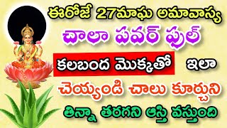 ఈరోజు మాఘ అమావాస్య చాలా పవర్ఫుల్ కలబంద మొక్కతో ఇలా చేయండి చాలు కూర్చుని తిన్న తరగని ఆస్తి వస్తుంది