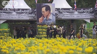 タイ前国王をしのび　街中に黄色い花　死去から1年(17/10/12)