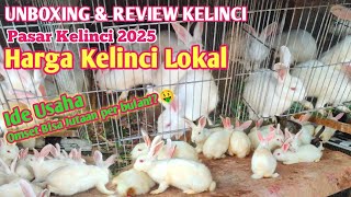 Update Harga Kelinci Pedaging Lokal Di Awal Tahun 2025 • Ternak Kelinci Pemula 🤑