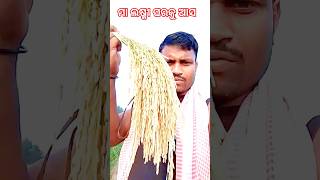 ମା ଲଷ୍ମୀ ବିଲ ରେ ଥିଲ ଏବେ ଘରକୁ ଚାଲ।#viralvideo#suscribete#like #shortsviral #nampo #shortvideo #viral