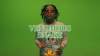 [ FREE ] LIL GOTIT Type Beat - ''Venomous Snake'' feat. 21 Savage Type Beat |Instrumental Music 2022