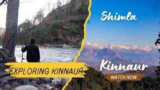 𝗦𝗵𝗶𝗺𝗹𝗮|𝗞𝗶𝗻𝗻𝗮𝘂𝗿|𝗡𝗛𝟱|𝗪𝗼𝗿𝗹𝗱'𝘀 𝗧𝗼𝘂𝗴𝗵𝗲𝘀𝘁 𝗥𝗼𝗮𝗱@himalayanpanther2295