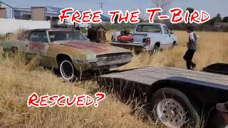 Rescued after 40 years 1968 Ford Thunderbird 429 Thunder Jet BBF