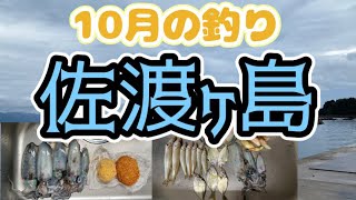 10月の佐渡ヶ島で釣りしてみた