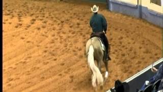 Shawn Flarida and Wimpys Little Colonel 2014 AQHA Junior Reining Reserve World Champion