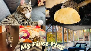 My First Vlog❤️🇺🇸| Introducing Our Cute 🐱 Cat CHIKU | Luchi Labra Torkari For Dinner