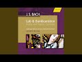 Herr Gott, dich loben wir, BWV 16: Recitative: Ach treuer Hort (Alto)