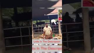 Hogenakkal fish market #shorts #vlog #hogenakkal #tour