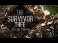 The Survivor Tree Seedling Program