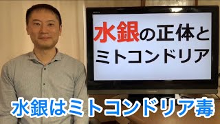 有害金属・水銀の正体とは！？水銀はミトコンドリアを傷つける！【栄養チャンネル信長】