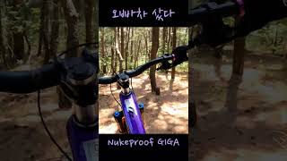 [MTB라이더레이Nukeproof giga test | 슈퍼엔듀로 MTB 자전거  | 오빠차 샀다 | #shorts