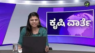 ಕೃಷಿ ವಾರ್ತೆ 12-09-24 | Agriculture News | Pakistan Basmati Ban, MSP Soyabean Procurement, Punjab