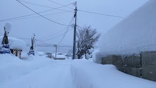 【散歩】デッサンをやる意味とタイミング