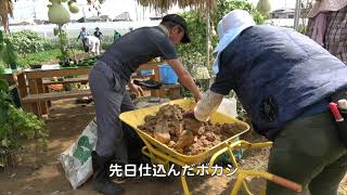 セイコー農園200829トウガン片付け→秋ジャガ