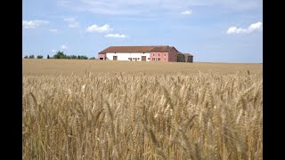 Episode #6: Important visitor, abandoned watermill and Toscane in France