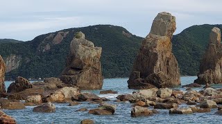 串本 橋杭岩で海鳥が魚をとった瞬間を撮影できました。