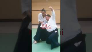 WOW!合氣 | 肘に肘 : Elbow to Elbow | 肘取り 肘返し 逆小手抑え HijiDori HijiGaeshi GyakuKoteOsae #合氣  #aikido