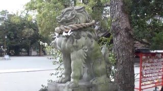 30秒の心象風景9078・精悍な造形～姫路護国神社狛犬～