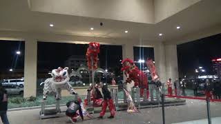 Bay 101 Chinese New Year 2019 Liondance By  Leung's White Crane Lion Dance